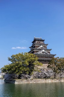 Hiroshima Castle, also known as Carp Castle, against a blue sky with cherry blossoms, sakura, and