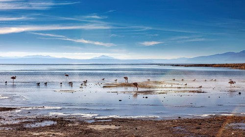 Tranquil lake with birds and distant mountains under a sunny sky, The thermal springs of Polques in