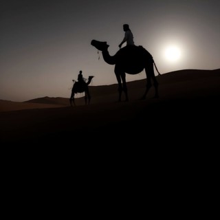 Silhouette of two arab men riding a camel through the desert at sunset. A silhouette of a lone