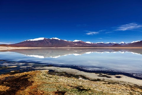 Landscape of a calm expanse of water reflecting a snow-capped mountain in a clear sky, The Laguna