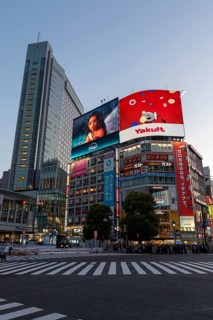 Crowd waiting at the zebra crossing of Shibuya Crossing, world-famous intersection in Shibuya
