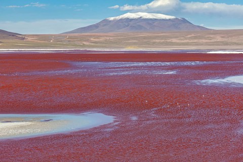 A breathtaking red lake with a snow-capped mountain in the background under a clear sky, The Laguna