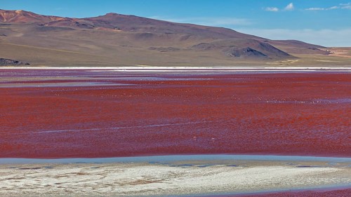 A vast red lake in a barren desert landscape with mountains in the background, Laguna Colorada on