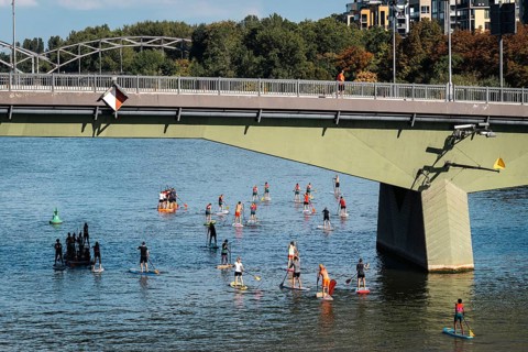 Stand up paddlers conquer the Main. Sachsenhausen, Frankfurt am Main, Hesse, Germany