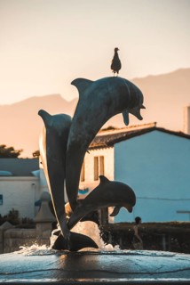 A bird on a dolphin fountain at sunset.Santa Barbara's Dolphin Fountain is located at the entrance