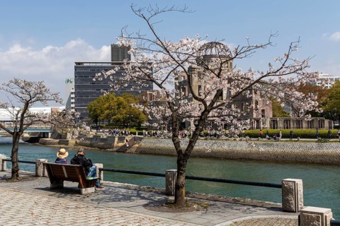Tourists sitting on a bench under blossoming cherry trees, Sakura, Atomic Bomb Dome behind them,