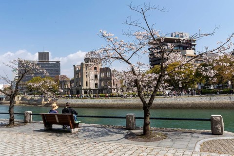 Tourists sitting on a bench under blossoming cherry trees, Sakura, Atomic Bomb Dome behind them,