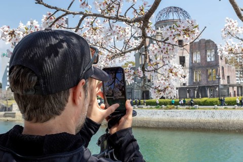 Tourist taking a photo of cherry blossoms with a smartphone, sakura, behind it atomic bomb dome,