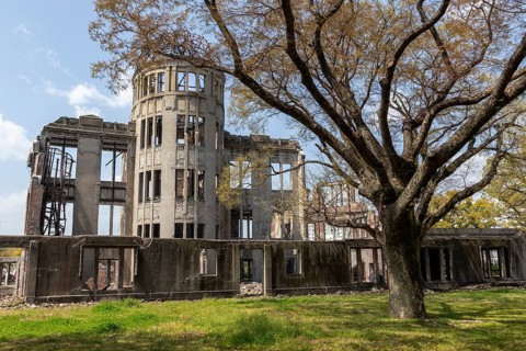 Tree in front of the atomic bomb dome, Atomic Bomb Dome, ruins of the former Chamber of Commerce