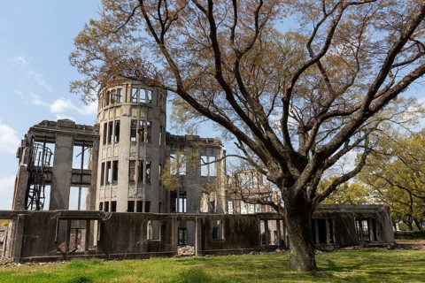 Tree in front of the atomic bomb dome, Atomic Bomb Dome, ruins of the former Chamber of Commerce