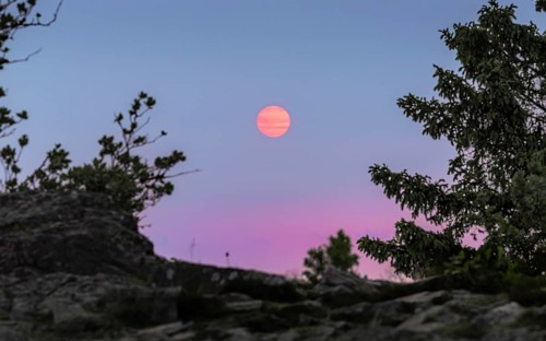 Sunset coloured by smoke particles in the atmosphere. Großer Feldberg in the Taunus, Hesse, Germany