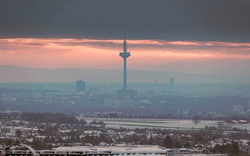 Europaturm in the winter morning fog. Europa Tower, Ginnheim, Frankfurt am Main, Hesse, Germany