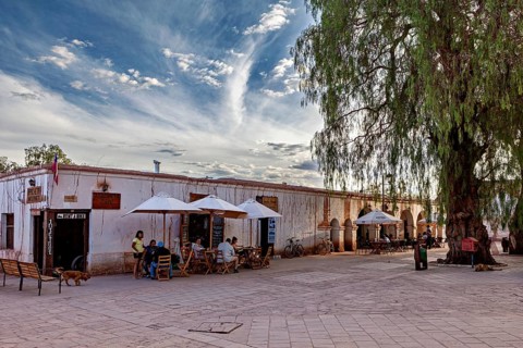 People sit under parasols in a square next to a large tree in front of an old building, The town of