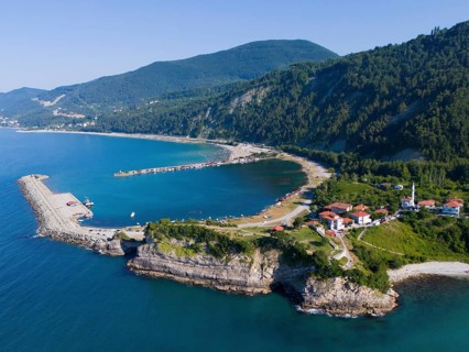 Coastal view with pier and green hills, surrounded by clear sea and scattered houses, aerial view,