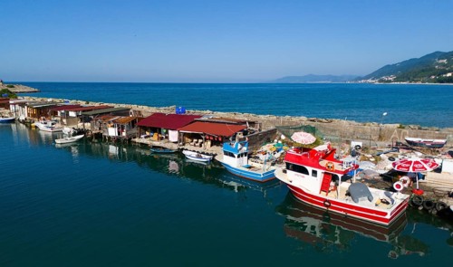 Fishing harbour with colourful boats and huts along a quiet coastline under a clear sky, aerial