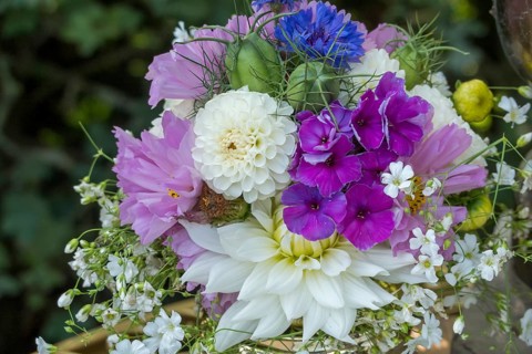 Small bouquet with various garden flowers, North Rhine-Westphalia, Germany