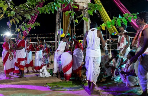 Members of the tea tribe community holds a karam tree as they celebrate the vibrant Karam Festival