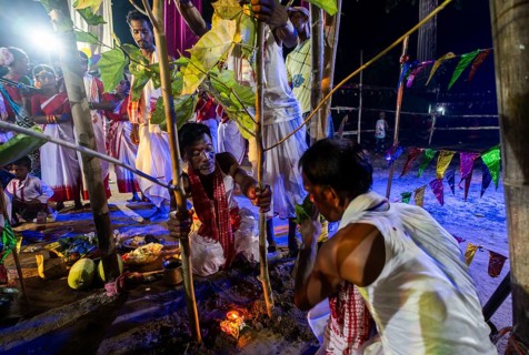 Members of the tea tribe community install Karam tree as they celebrate the vibrant Karam Festival