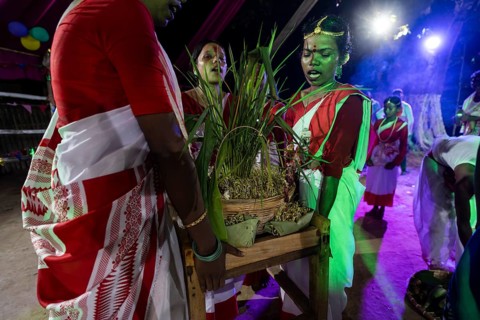 Members of the tea tribe community celebrate the vibrant Karam Festival with traditional rituals at