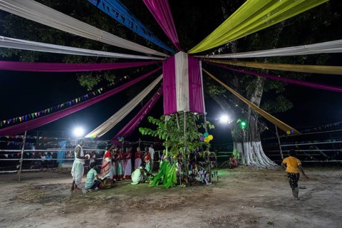 Members of the tea tribe community celebrate the vibrant Karam Festival with traditional rituals at