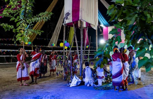 Members of the tea tribe community holds a karam tree as they celebrate the vibrant Karam Festival