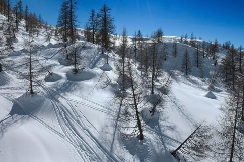 Alpe Tognola ski area, San Martino di Castrozza, Trentino, South Tyrol, Italy