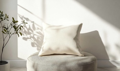 A white pillow sits on a chair in a room with a plant in the background. The room is well-lit and