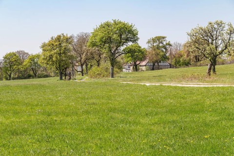 Idyllic rural scenery showing a farmstead behind some trees at spring time in Southern Germany