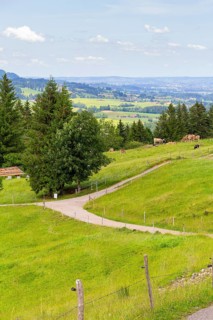 Idyllic scenery around the Immenstaedter Horn, a mountain in the Upper Allgaeu in Bavaria, Germany