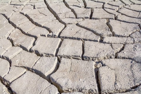 Natural abstract background of fissured dry loam