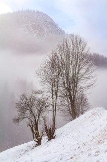 Idyllic winter scenery near Ramsau bei Berchtesgaden in the Bavarian Alps