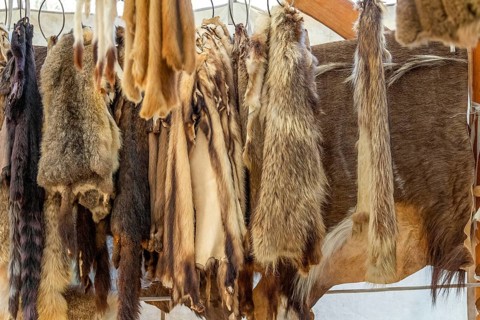 Various hanging fur pieces seen at a medieval market