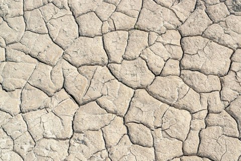 High angle view of a sunny illuminated dry and clefty soil surface