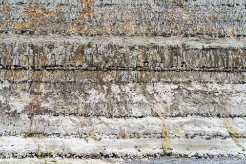 Chalk cliff closeup seen near Fecamp, a commune in the department of Seine-Maritime at the Normandy
