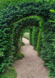 Idyllic garden scenery showing some green plant arches over a footpath at summer time seen in