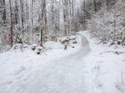 Idyllic snowy forest scenery around Schoenau am Koenigssee in Bavaria at winter time