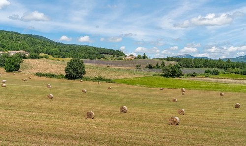 Impression around Mont Ventoux, a mountain in the Provence region of southern France