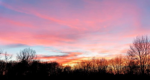 A colorful sundown including some clouds behind some leafless treetop silhouettes