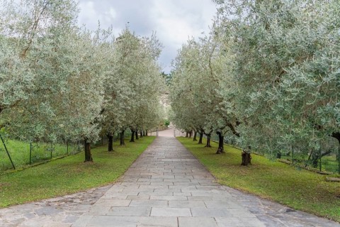Impression around the Piona Priory or Piona Abbey, a religious complex on the Lecco bank of Lake