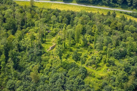 Aerial view, castle ruin resp. Remains of the Rüdenburg (also Alte Grafenburg or Alte Burg) on the