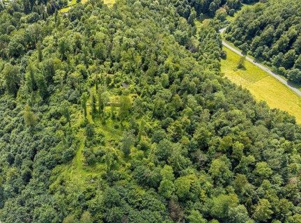 Aerial view, castle ruin resp. Remains of the Rüdenburg (also Alte Grafenburg or Alte Burg) on the