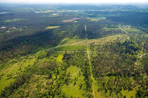 Aerial view, forest pastures Wistinghauser Senne nature reserve, heathland, forest and meadows and