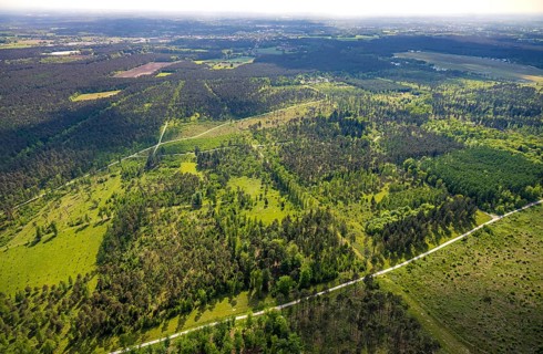 Aerial view, forest pastures Wistinghauser Senne nature reserve, heathland, forest and meadows and