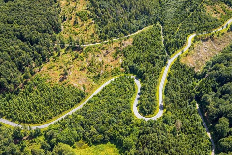 Aerial view, serpentines at the Ochsenkopf between Arnsberg and Sundern in the forest area with