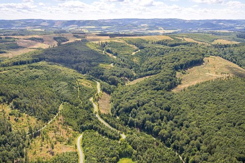 Aerial view, serpentines at the Ochsenkopf between Arnsberg and Sundern in the forest area with