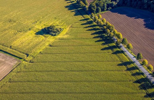 Aerial view, triangular group of trees in a field on Lünener Straße, field, field, group of trees,