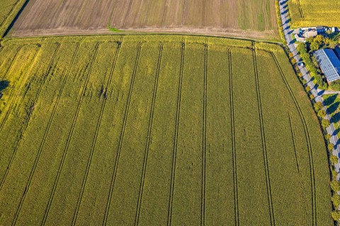 Aerial view, triangular group of trees in a field on Lünener Straße, field, field, group of trees,