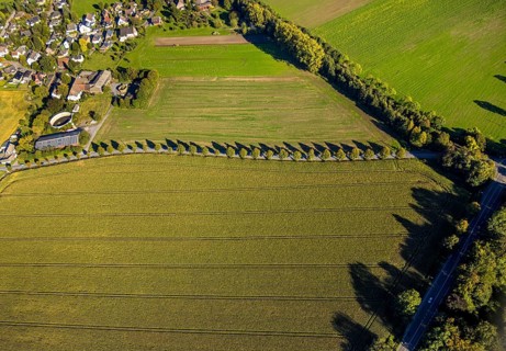 Aerial view, triangular group of trees in a field on Lünener Straße, field, field, group of trees,