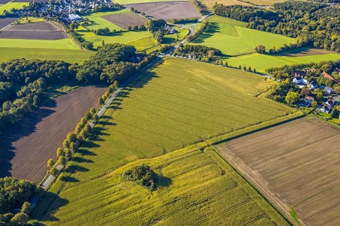 Aerial view, triangular group of trees in a field on Lünener Straße, field, field, group of trees,