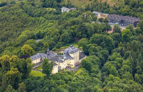 Aerial view, Wittgenstein Castle, grammar school and secondary school in the forest, Wittgenstein